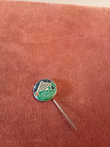 Anstecknadel bergbau doly - anstecknadel,